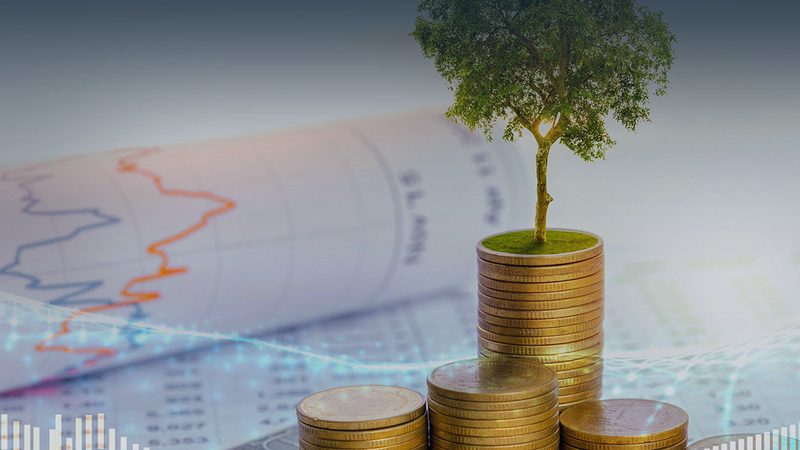 流程优化咨询师认证的流程通常包括以下几步：